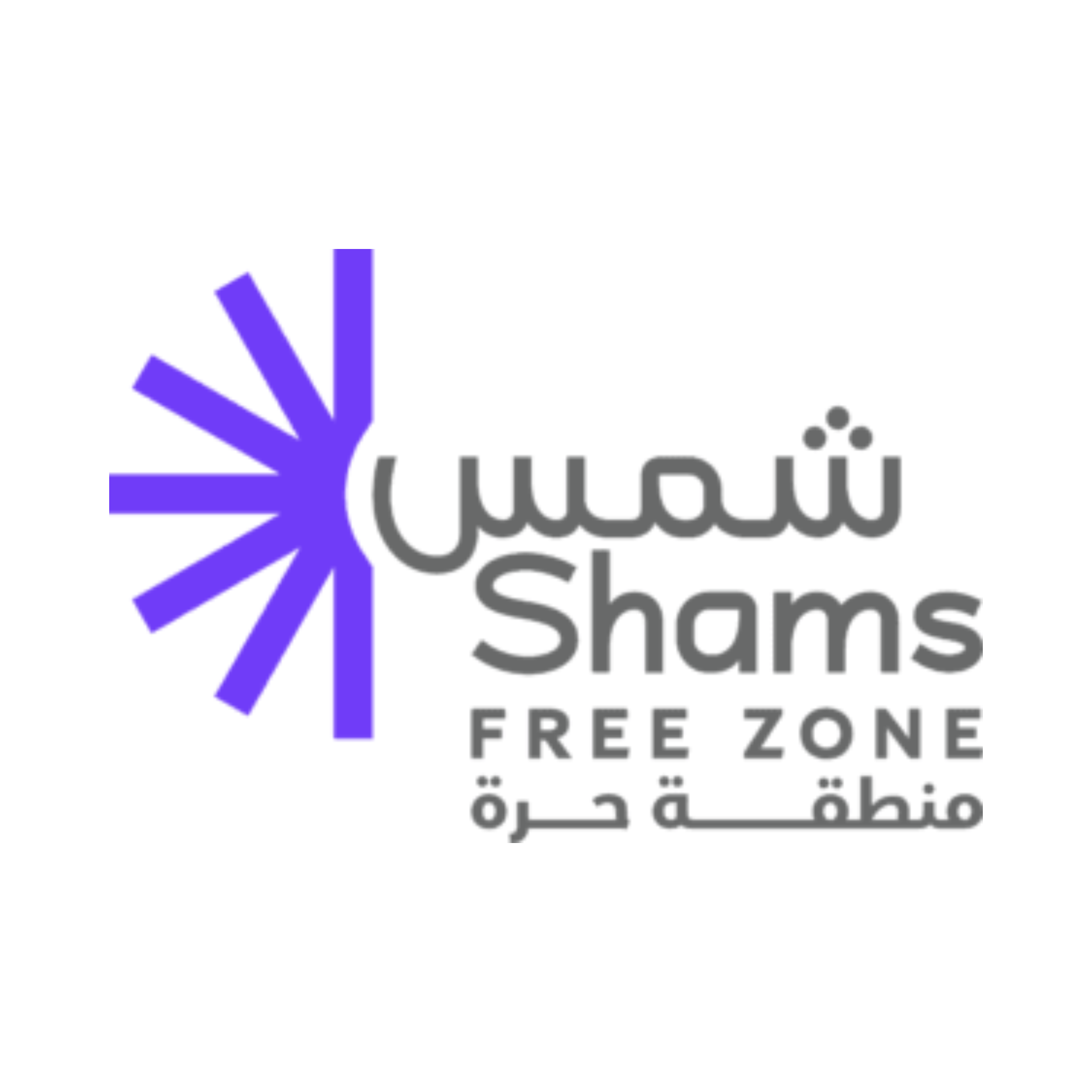 UAE Credential 1 logo